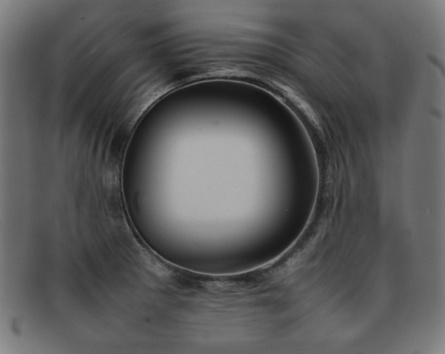 X0000092051281200709121205