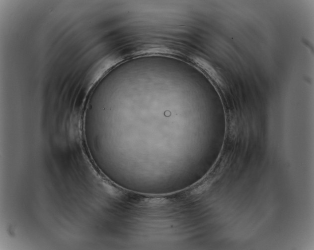 X0000092051282200709121205