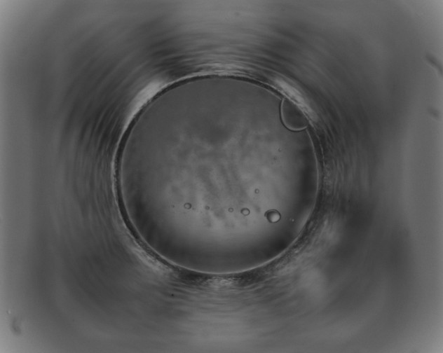 X0000092051283200709121205