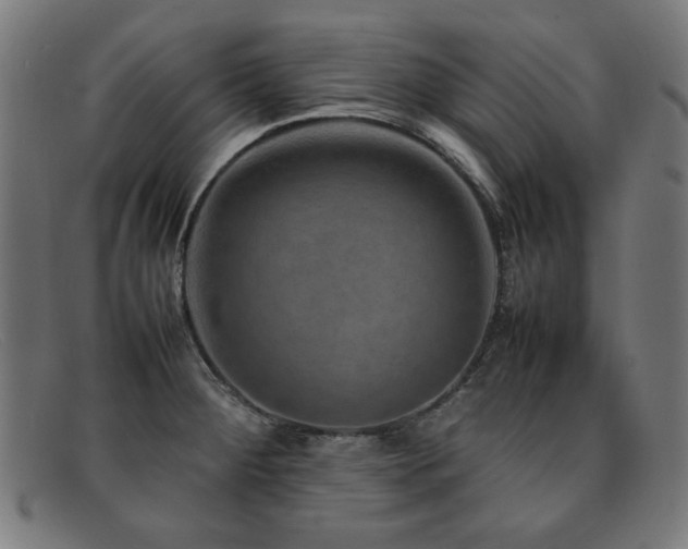 X0000092051284200709121205