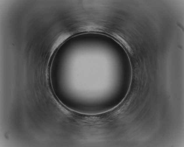 X0000092051285200709121205