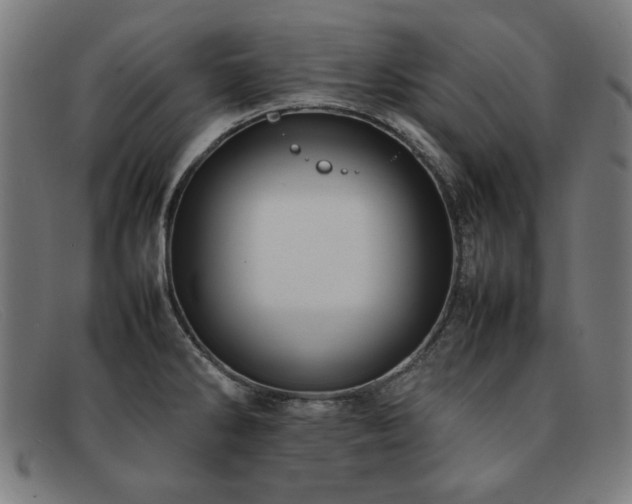 X0000092051286200709121205