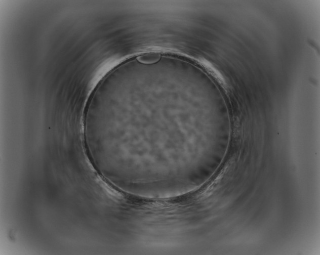 X0000092051287200709121205