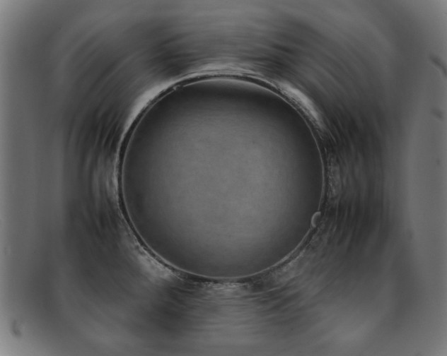 X0000092051288200709121205