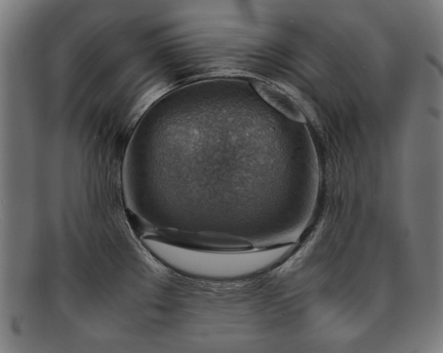 X0000092051289200709121205