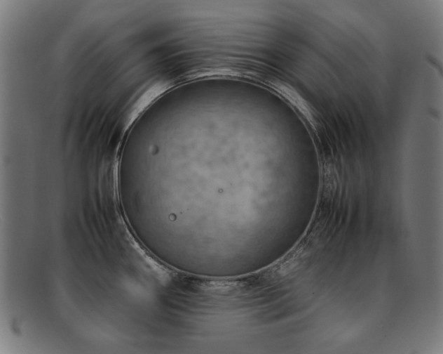 X0000092051290200709121205