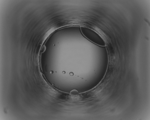 X0000092051291200709121205