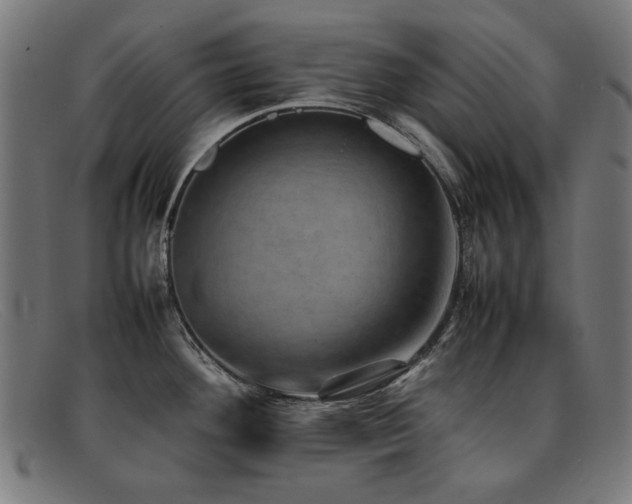 X0000092051292200709121205