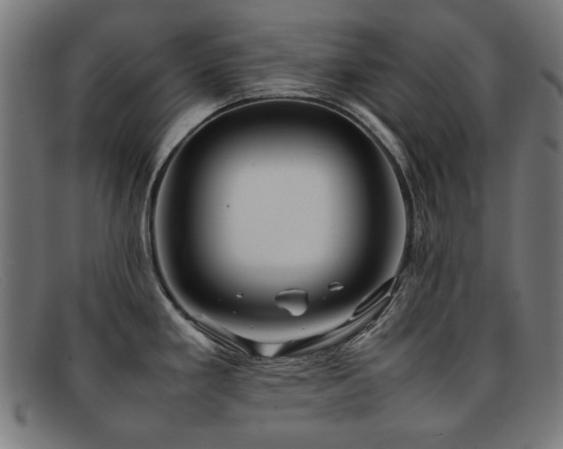 X0000092051293200709121205