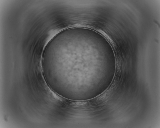 X0000092051294200709121205