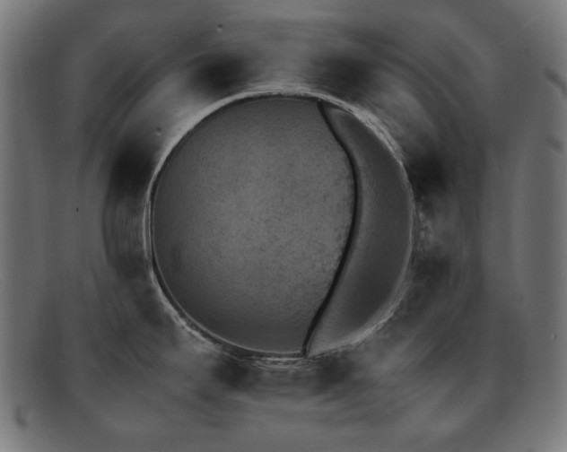 X0000092051295200709121205