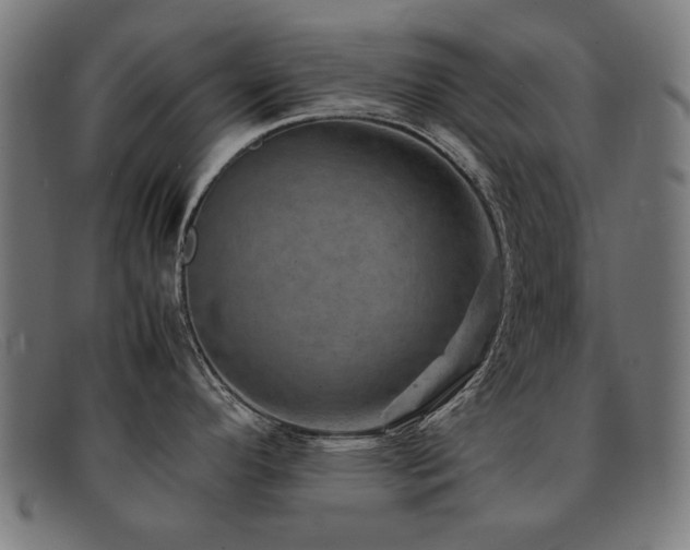 X0000092051296200709121205