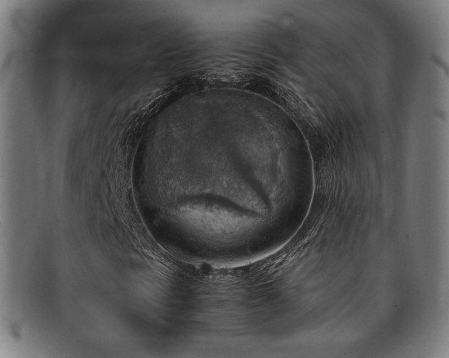 X0000092051297200709121204