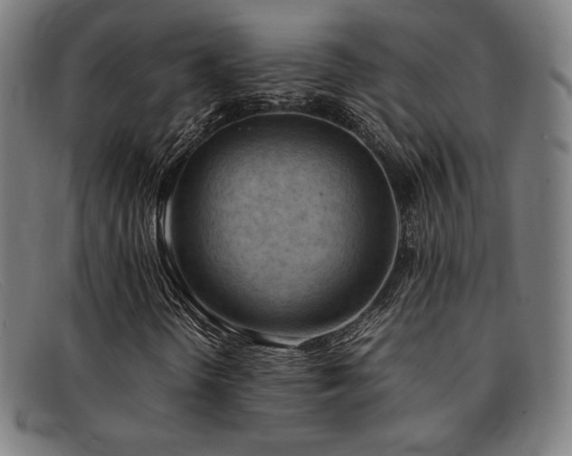 X0000092051298200709121204