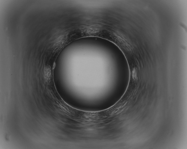 X0000092051299200709121204