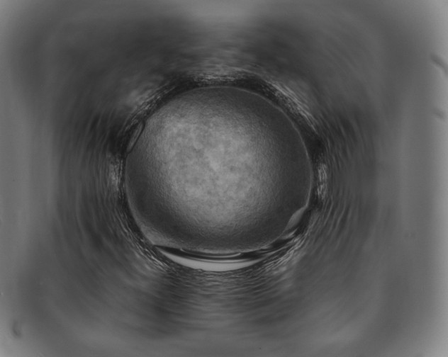 X0000092051300200709121204