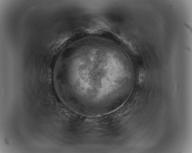 X0000092051301200709121204