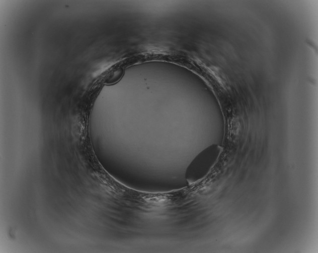 X0000092051303200709121204