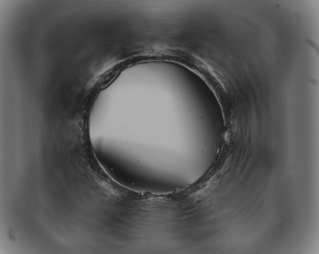 X0000092051304200709121204