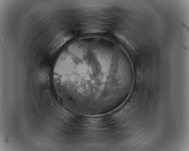 X0000092051305200709121204