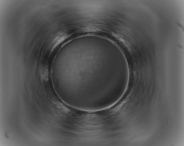 X0000092051306200709121204