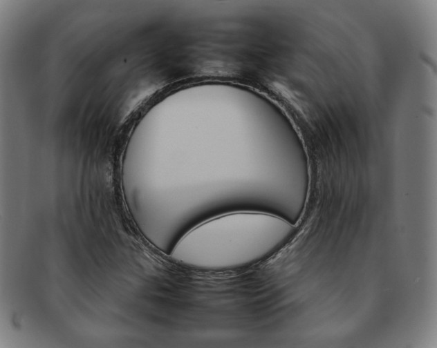 X0000092051307200709121204