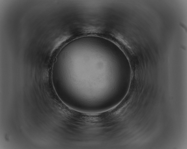 X0000092051309200709121204