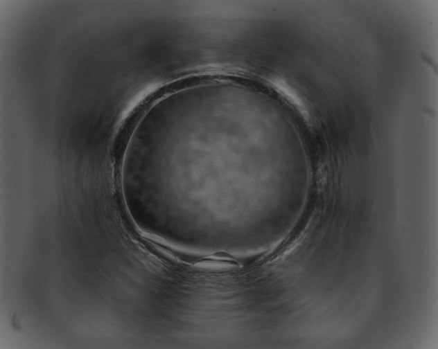 X0000092051310200709121204