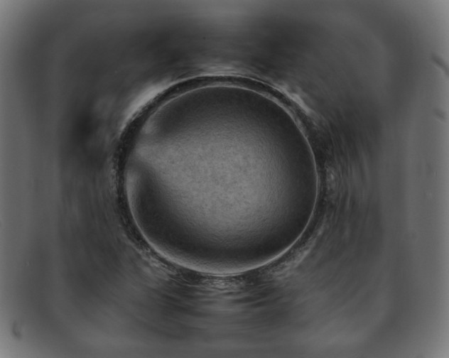 X0000092051311200709121204