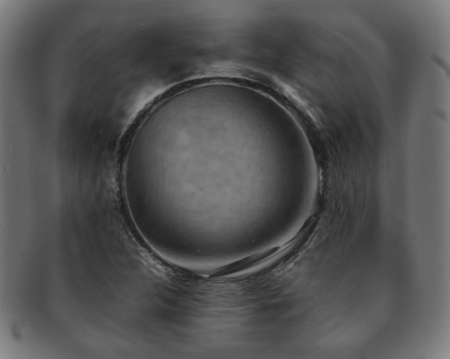 X0000092051312200709121204