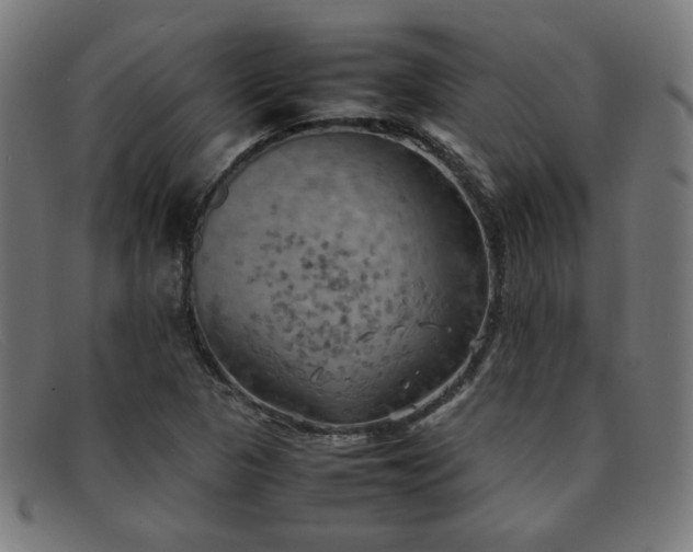 X0000092051313200709121204