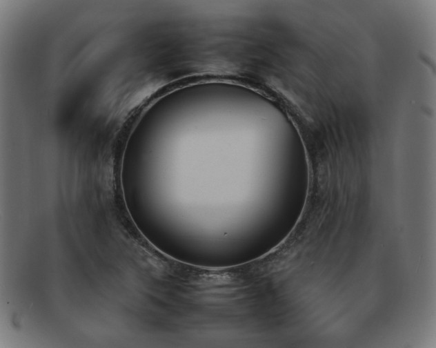 X0000092051315200709121204