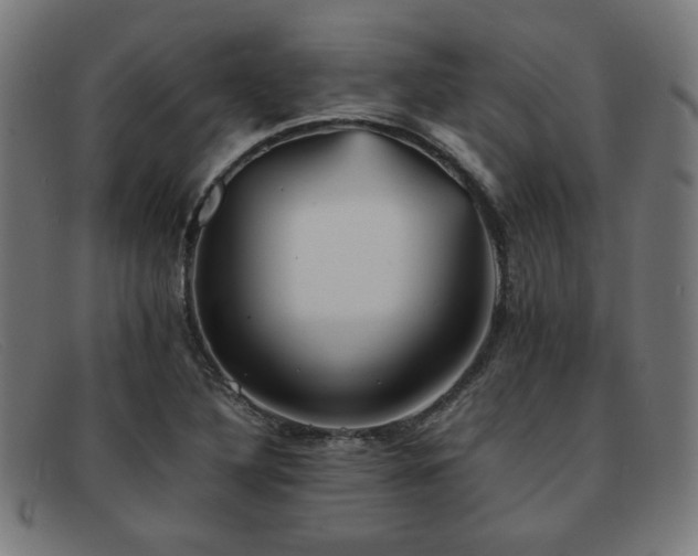 X0000092051316200709121204