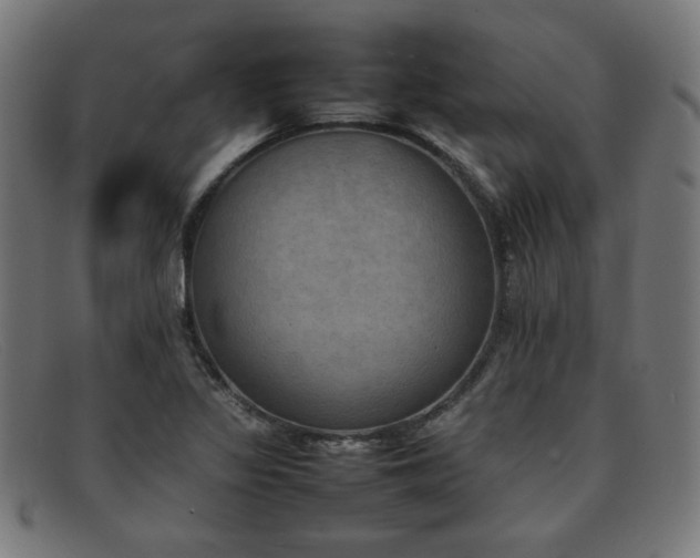 X0000092051317200709121204