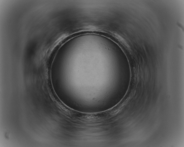 X0000092051318200709121204