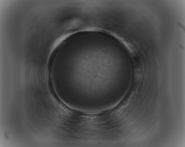 X0000092051319200709121204