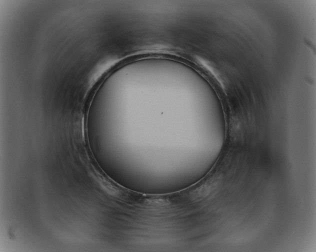 X0000092051320200709121204