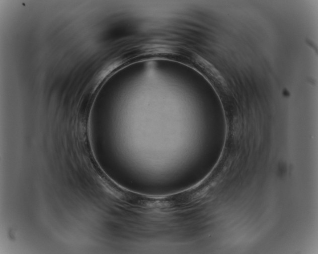 X0000092051321200709121204