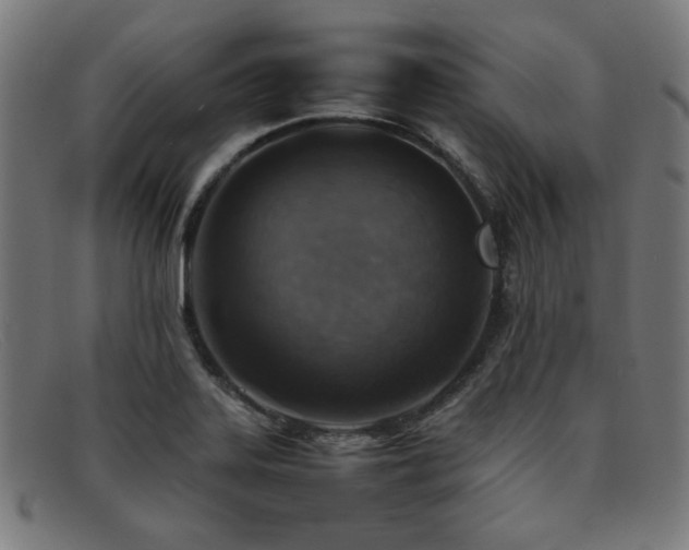 X0000092051323200709121205