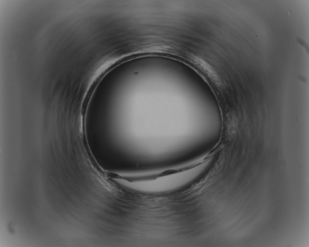 X0000092051324200709121205