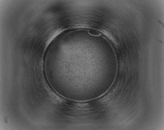 X0000092051325200709121205