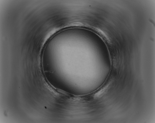 X0000092051326200709121205