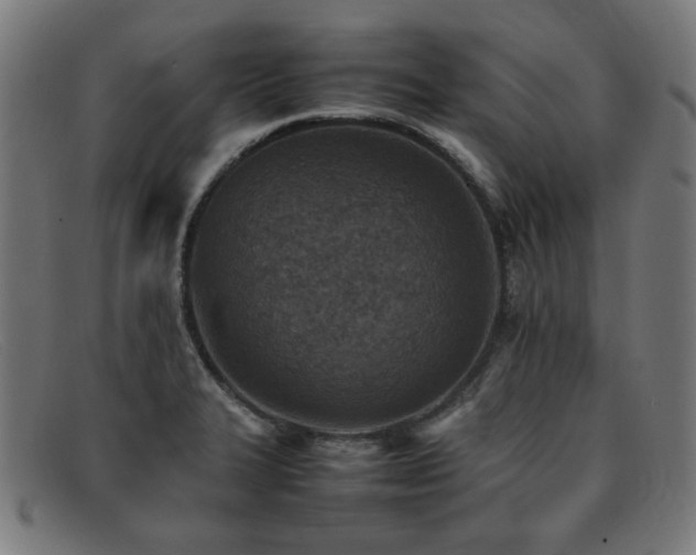 X0000092051327200709121205