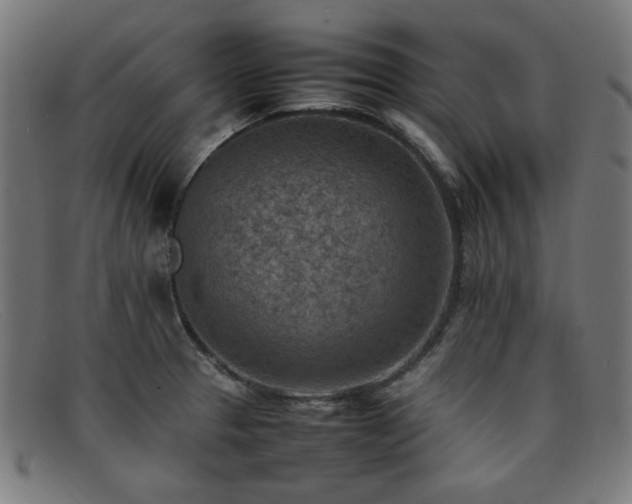 X0000092051329200709121205