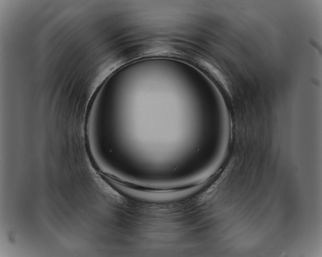 X0000092051330200709121205