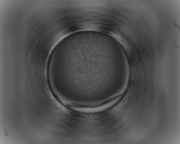 X0000092051331200709121205