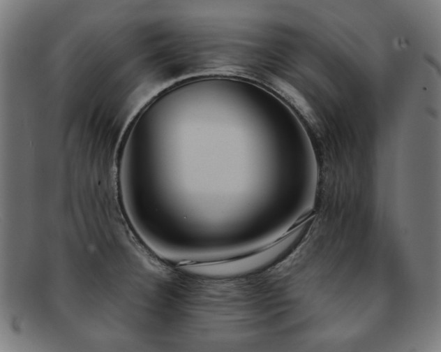 X0000092051332200709121205