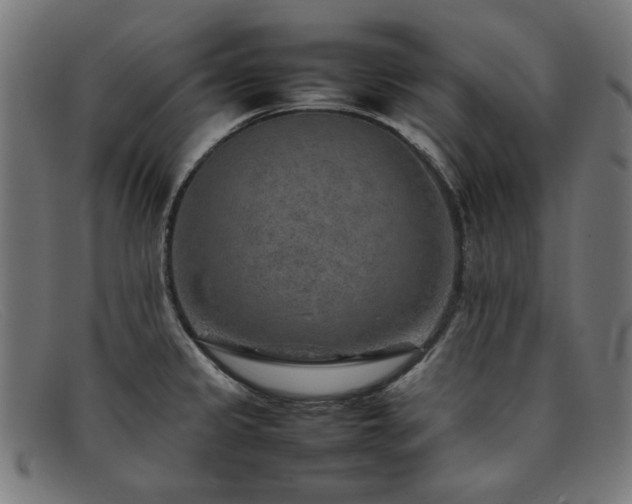 X0000092051333200709121205