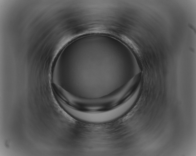 X0000092051334200709121205