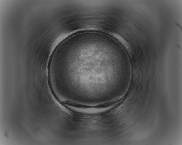 X0000092051335200709121205